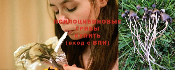 кокс Алексин
