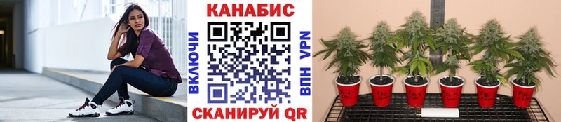 МАРИХУАНА Bruce Banner  blacksprut ссылки  Кудрово 